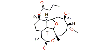 Briarellin P